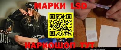 амф Гатчина