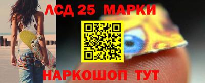 амф Гатчина