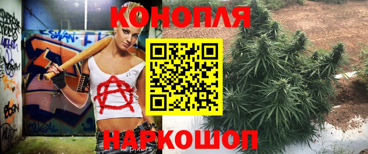 Бошки марихуана SATIVA & INDICA  Конопля план  Вход с VPN  Берёзовский 